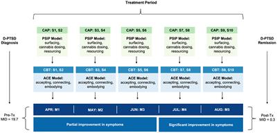 Cannabis-assisted psychotherapy for complex dissociative posttraumatic stress disorder: A case report